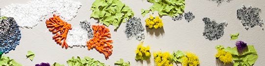 Ingrid Lahti - Lichens: an Epiphytic Interactome